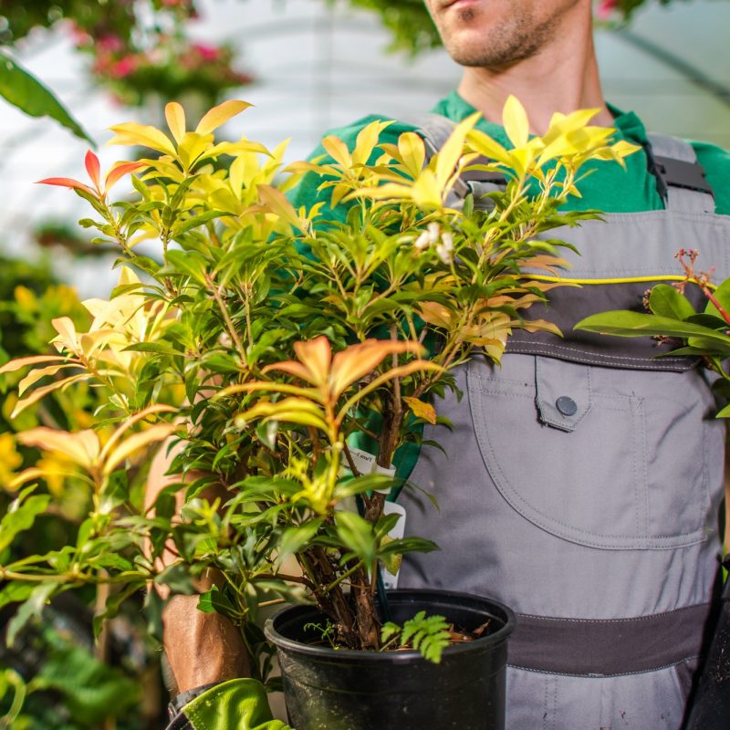 Caucasian Florist with Flowers